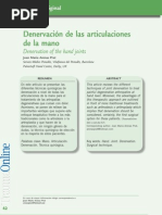 Download Denervacin de las articulaciones de la mano  by Hand Surgery SN144953041 doc pdf