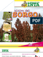 Sorgo 4