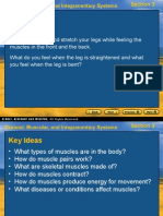 Skeletal, Muscular, and Integumentary Systems Section 3 Bellringer Alternately