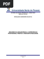 Gravidez Na Adolescencia a Intervencao Profissional Frente a Crescente Realidade 2