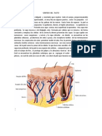 Sentido Del Tacto-Gusto