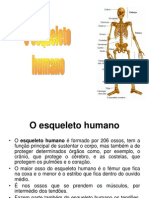o-esqueleto-humano-1200665176991285-3(1)