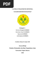 Download LAPORAN kromosom by Syifa Sulistyo SN145015860 doc pdf