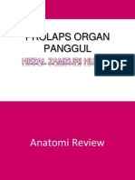 Prolaps Organ Pangguli