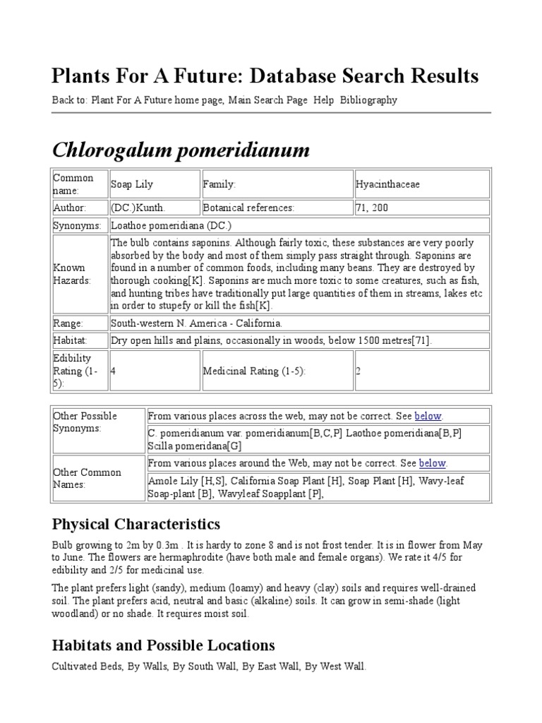 Chlorogalum Pomeridianum Plants For A Future Database Search Results