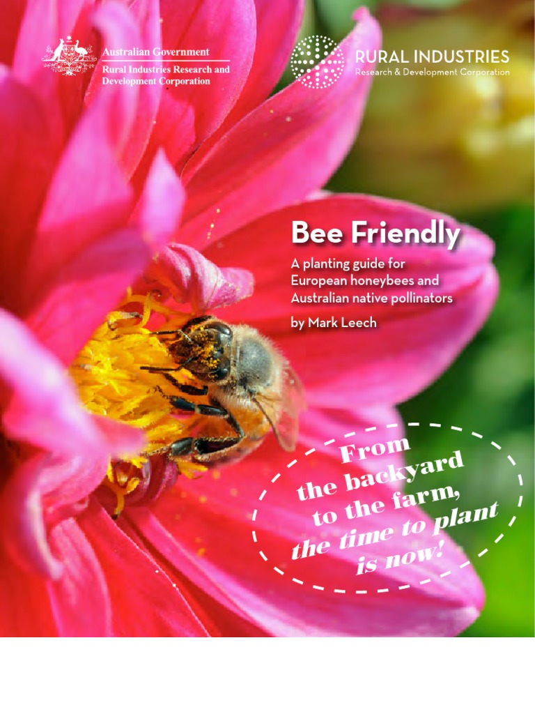 Nectar vs Pollen Honey Bee Beekeeping