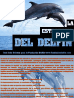 La Estrategia Del Delfin (1)