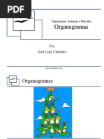 organograma[1]