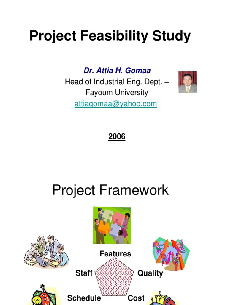 Comprehensive Project Feasibility Study | PDF | Net Present Value ...