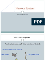 The Nervous System 