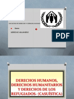 Diapositivas Derechos Humanos2