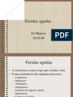 Feridas agudas (2).ppt