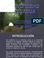 Exposicion Guadua Final 1