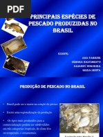 Principais EspÃ©cies de Pescado Produzidas no Brasil
