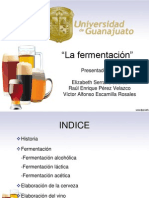 Fermentacion