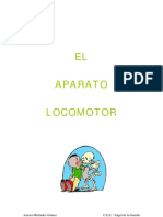 Nuestro Curpo El Aparato Locomotor