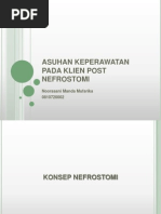Download Asuhan Keperawatan Pada Klien Post Nefrostomi by Noorasani SN145195906 doc pdf