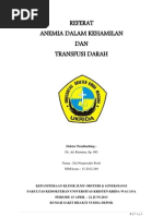 Download Anemia Pada Ibu Hamil by Ct Nurjawahir Rosli SN145207626 doc pdf