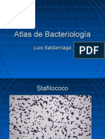 Atlas Bacteriologia