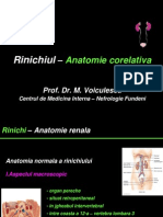 Curs Studenti 2012 Anat Rinichi Glomerul