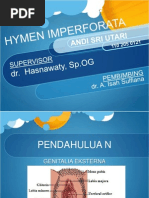 Download Hymen Imperforata by Sheila Cantik SN145242581 doc pdf