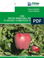 PomiCultura