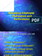 Managing Employee Motivation and Performance