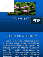 Programa 5 ESES (5 S)