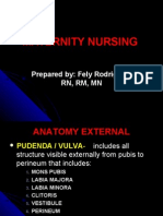 Maternity Nursing Lecture Presentation