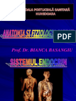 6 - Sistemul Endocrin