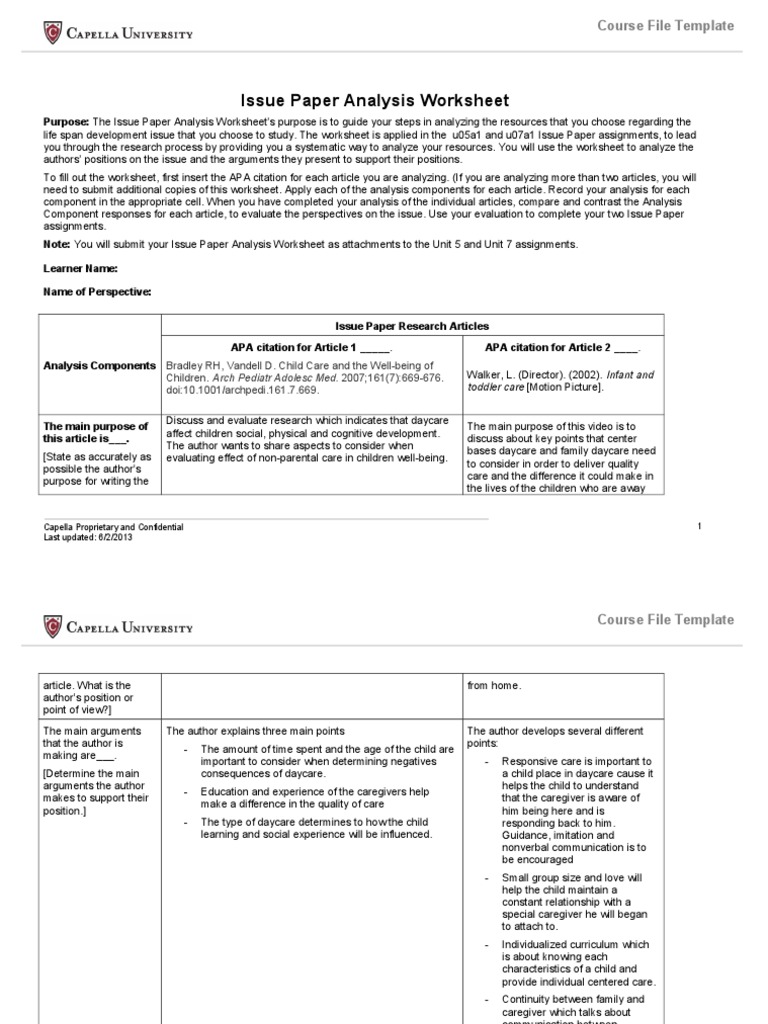 Issue analysis paper example picture