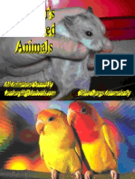 Animated Animals