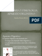 Anatomia y Fisiologia Aparato Degestivo