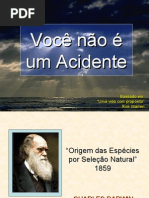 Voce_nao_e_um_acidente
