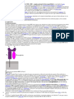 El Complejo Mayor de Histocompatibilidad