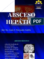 EXPO - Abseso Hepatico (2)