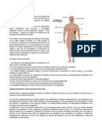 Sistema Inmunologico