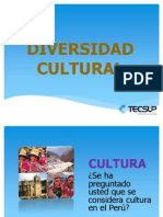 Diversidad Cultural