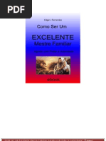 Como Ser Um Excelente Mestre Familiar OFERTA, Brasil e Europa -210 Pag.