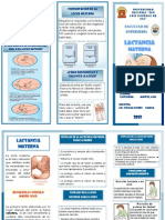 Triptico Lactancia Materna