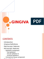 Gingiva Anatomy and Microscopic Features