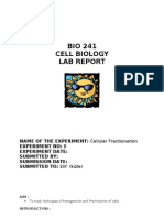 Bioedit DNA Sequence Refinement Guide | PDF | Sequence Alignment ...
