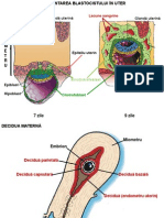18 20-11-20dezvoltarea Embrionara La Om