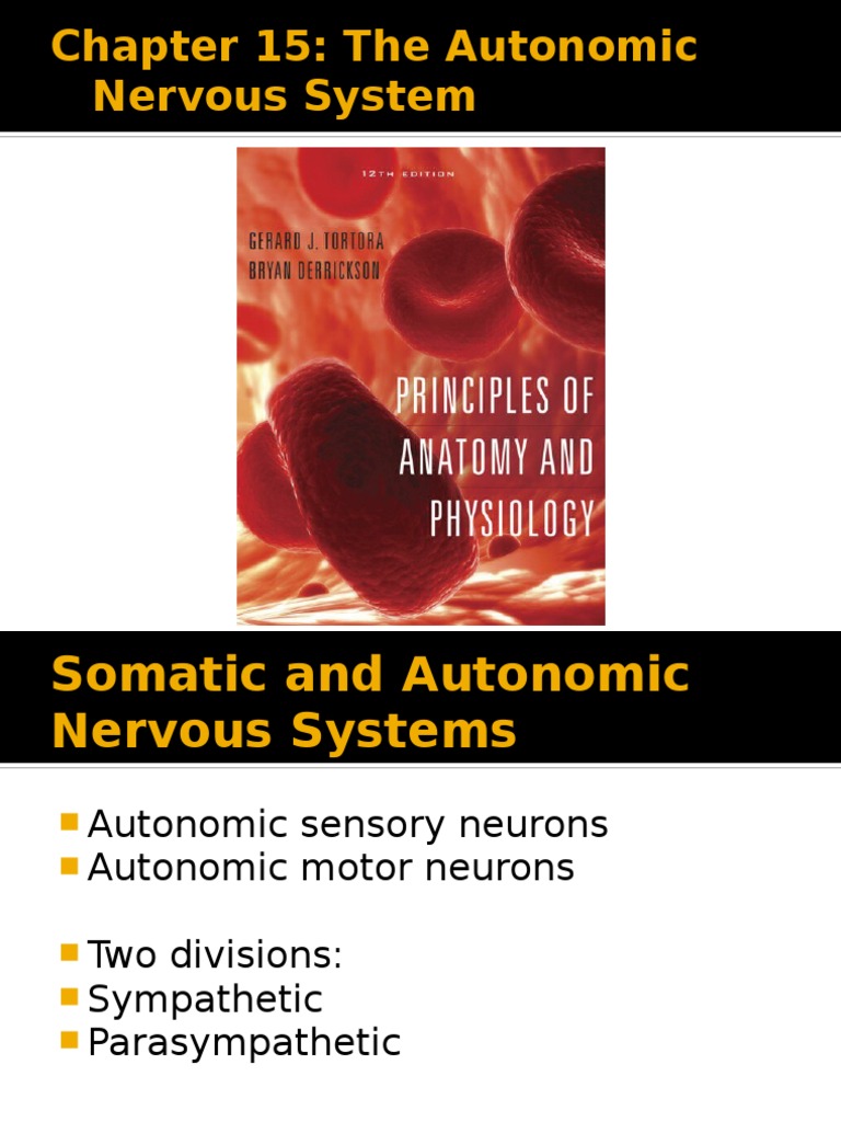 Chapter 15: The Autonomic Nervous System | PDF