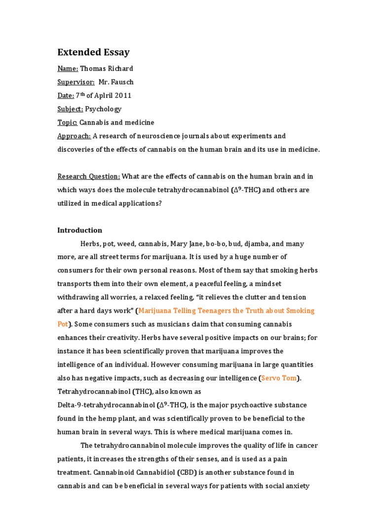 Extended essay word count image