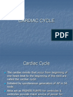 Cardiac Cycle