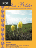 Download Gos Polski 43pdf by GazetaGlosPolski SN145448735 doc pdf