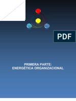 Energetica Organizacional Primera Parte