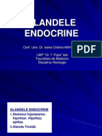 Curs III Glandele Endocrine