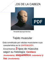 Musculos de La Cabeza